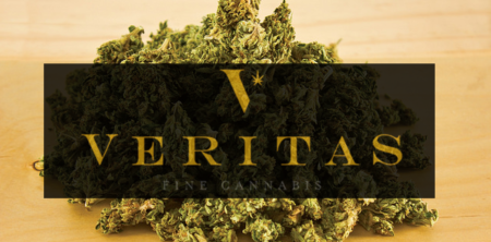 Veritas Pharma subsidiary to start trials in Q3