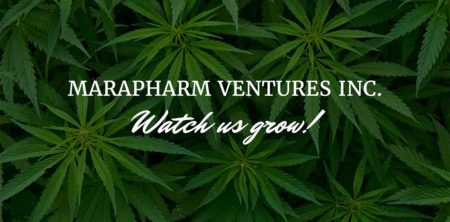 Marapharm Ventures Inc. Changes Name to Liht Cannabis Corp. (“Liht”)