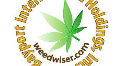 New CBD Product Line In Plans for Bayport International Holdings, Inc.