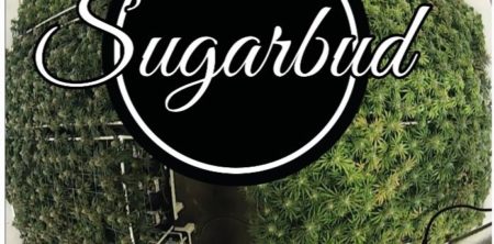SugarBud Craft Growers Corp. Announces Q2 2018 Financial and Operating Results