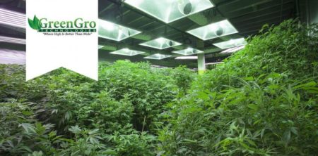 Leading Investment Newsletter Ranks GreenGro Technologies as 10th Most Attractive Stock to Own Out of List of 30 Other Cannabis Securities