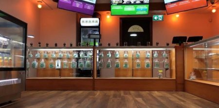 Canadians want more cannabis education: Starbuds Canada uncovers exclusive findings from Canadians and Cannabis Study