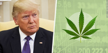 Rohrabacher Says Trump Will Liberalize Marijuana Policy After Midterms