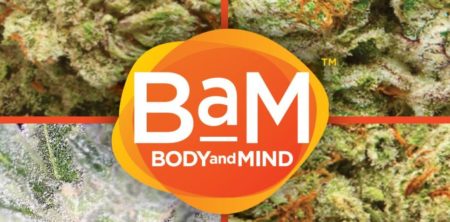 Body and Mind Inc. Strengthens Management Team With Veteran Cannabis Industry Appointment