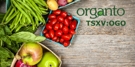 Organto Registers Its Genetic Library of Cannabis Cultivars & Breeding Lines in Colombia