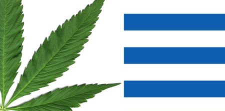 Greece issues first private company licenses to grow medicinal marijuana